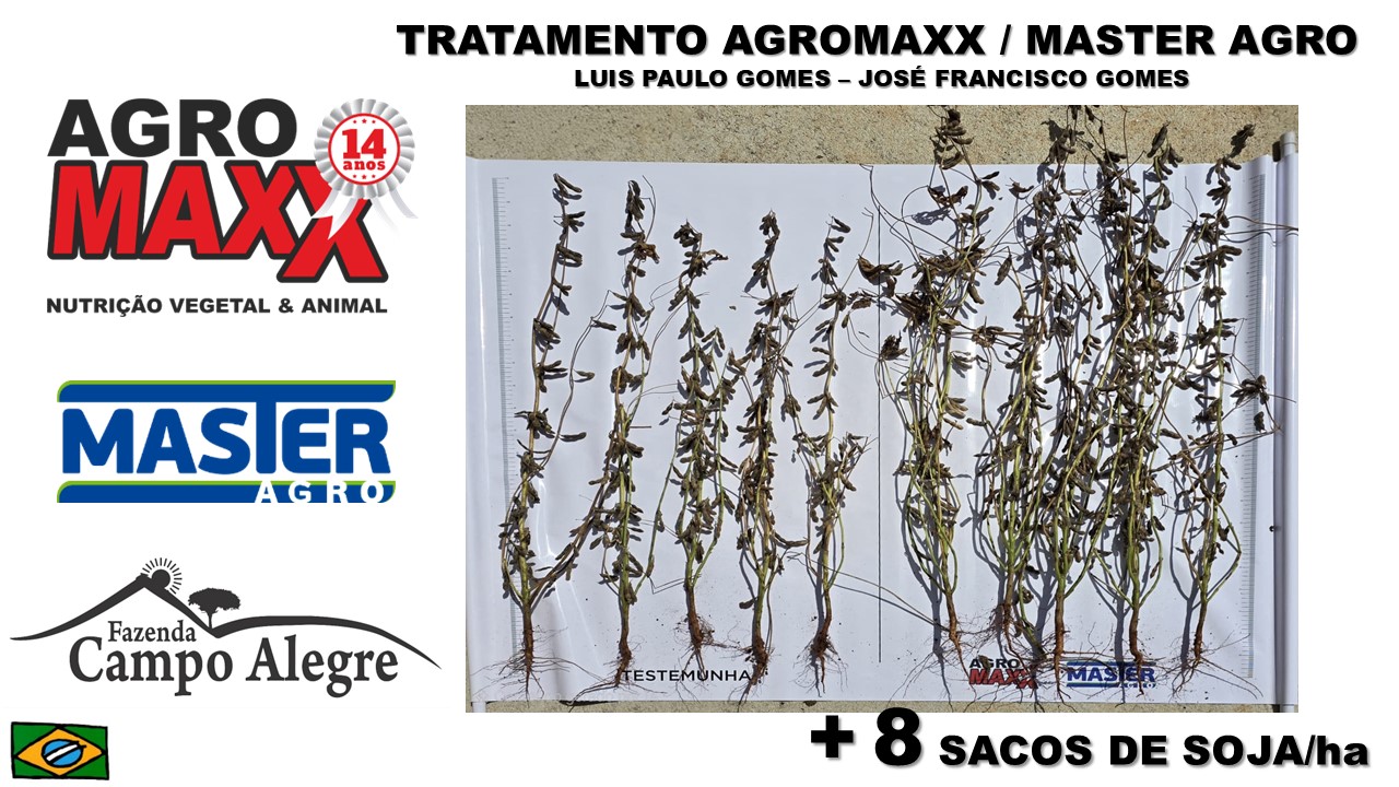 Plantação 14